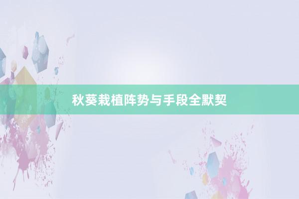 秋葵栽植阵势与手段全默契