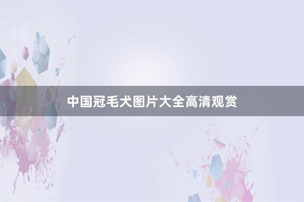 中国冠毛犬图片大全高清观赏